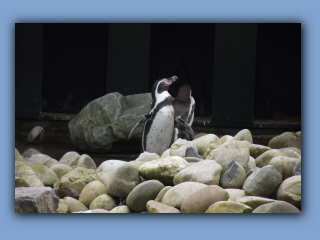DSCF0829.jpg