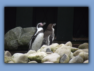 DSCF0830.jpg