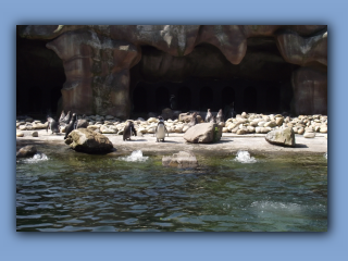 DSCF1407.jpg