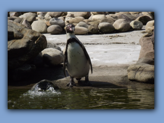 DSCF1414.jpg