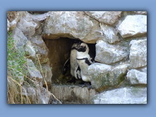 DSCF8193.jpg